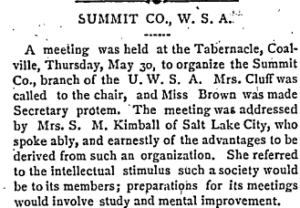 Newspaper article with headline "Summit Co. W. S. A.".